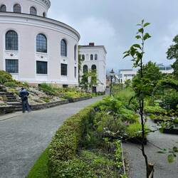 Universitätspark