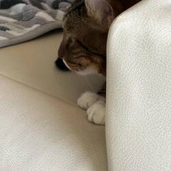 🙄