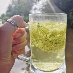 Vicky tried to make elderflower squash. It was drinkable but not as delicious as she'd hoped.