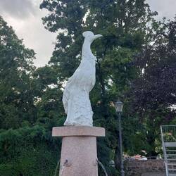 Der Meissner Hahn