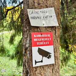 Da bekommt das Bild seine Bedeutung (Warnung vor bissigen Hunden)