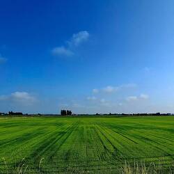 Onderweg is er niet zo heel erg veel te zien. ;-)
