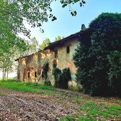 Erg veel 'boerderijen' van weleer staan er vervallen bij. De schaalvergroting heeft zijn prijs.