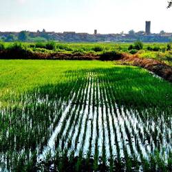 Ik nader het dorpje Palestro. Even zoeken naar een waterpunt.