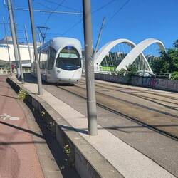 Straßenbahn in Lyon. Sehen die süß aus, sind aber nicht von Siemens
