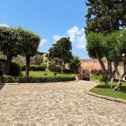 Wunderschöner Garten