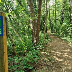 ... und auf angenehmen Wegen zum Ziel.