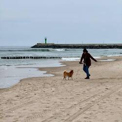 Am Strand ist Mica in seinem Element!