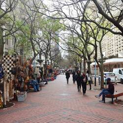 Der vorerst letzte Tag in Kapstadt ist gekommen...