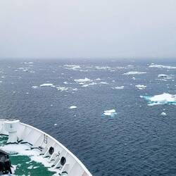 Heading into ice again as we head north through the Weddell Sea.