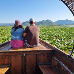 🩵💙 alles volle Seerosä