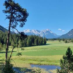 ... dominiert heute den Blick nach Westen.