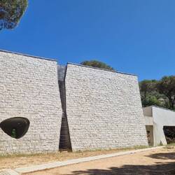 Mitten im Wald, verrückt