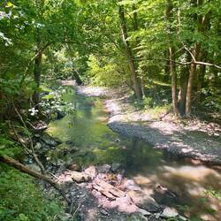 Der Elzbach unterhalb der Burg