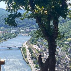 Moselsteig-Aussicht auf Treis-Karden