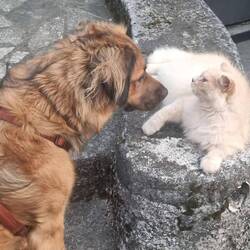 Die 2 mochten sich tatsächlich