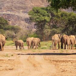 Road block