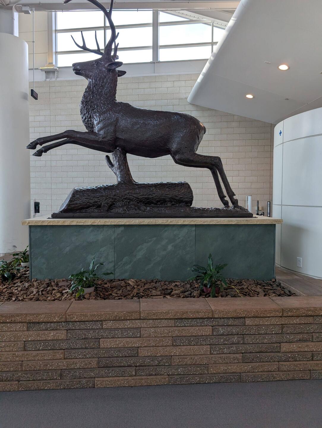 You know you landed in Moline when you see the Deer (for John Deer)