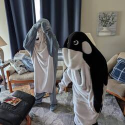 Cool sleeping bags. Do they come in adult sizes?