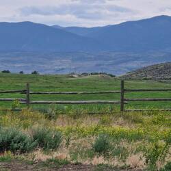 Views at the ranch