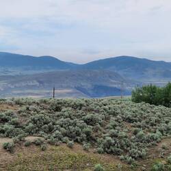 View at the ranch
