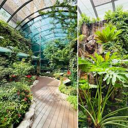 Schmetterlings-Garten