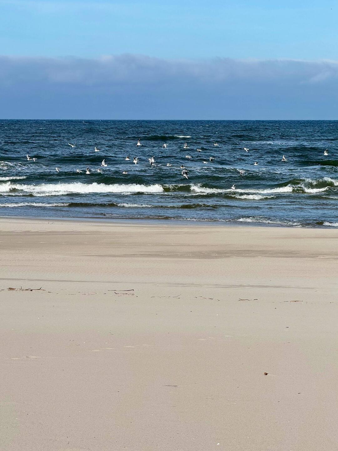 Die Nord-Ost Seite wird bestimmt durch endlosen Sandstrand