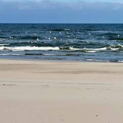 Die Nord-Ost Seite wird bestimmt durch endlosen Sandstrand