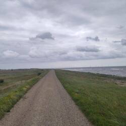 Deichwege sind schon meine Favoriten