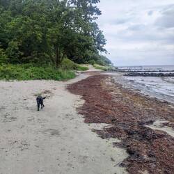 Nachmittags am Strand