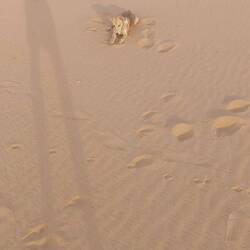 He chased me!