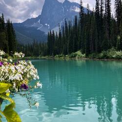 Emerald Lake