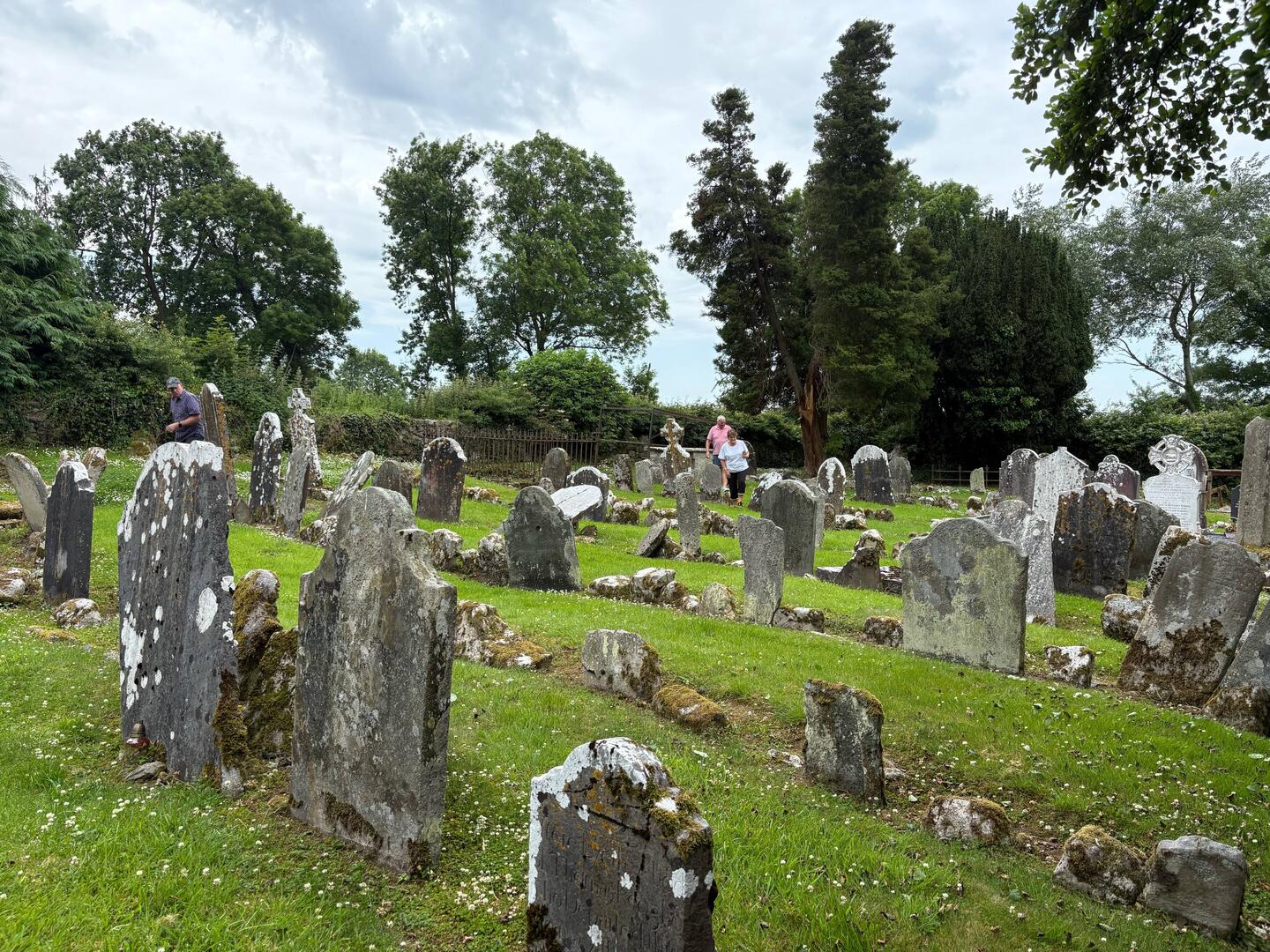 Ancestor hunting