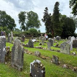 Ancestor hunting