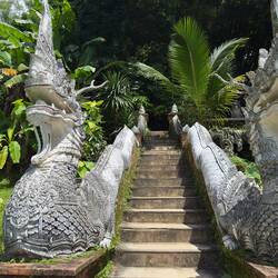 The naga staircase at Wat Pha Lat.