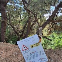 Another 'pericoloso' path down to the beach!