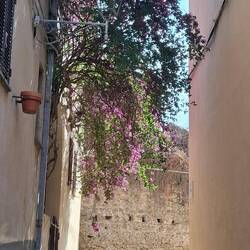 Porto Ercole old city