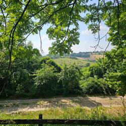 Aussicht
