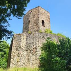 Burg Alt-Wolfstein