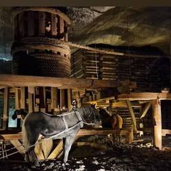 mit Pferden wurden die Kräne betrieben