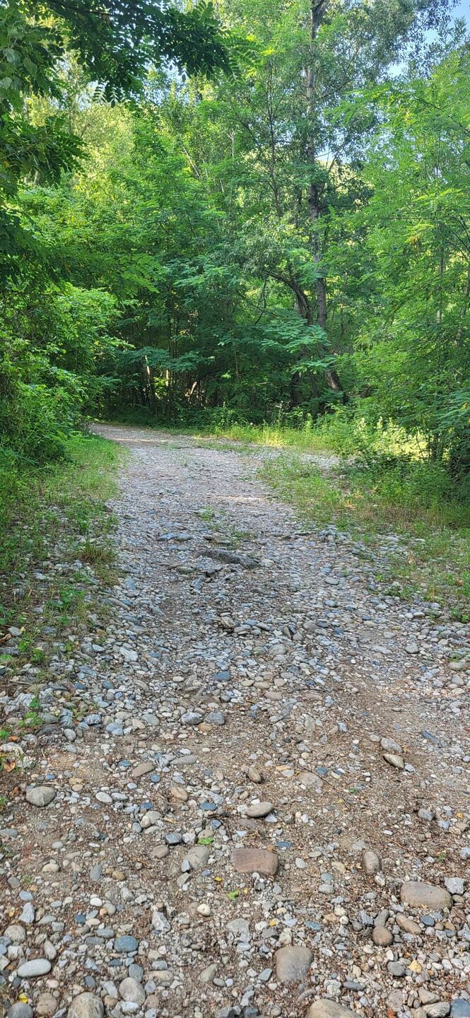 Unfassbar was hier als Radweg ausgewiesen wird. Schieben war angesagt