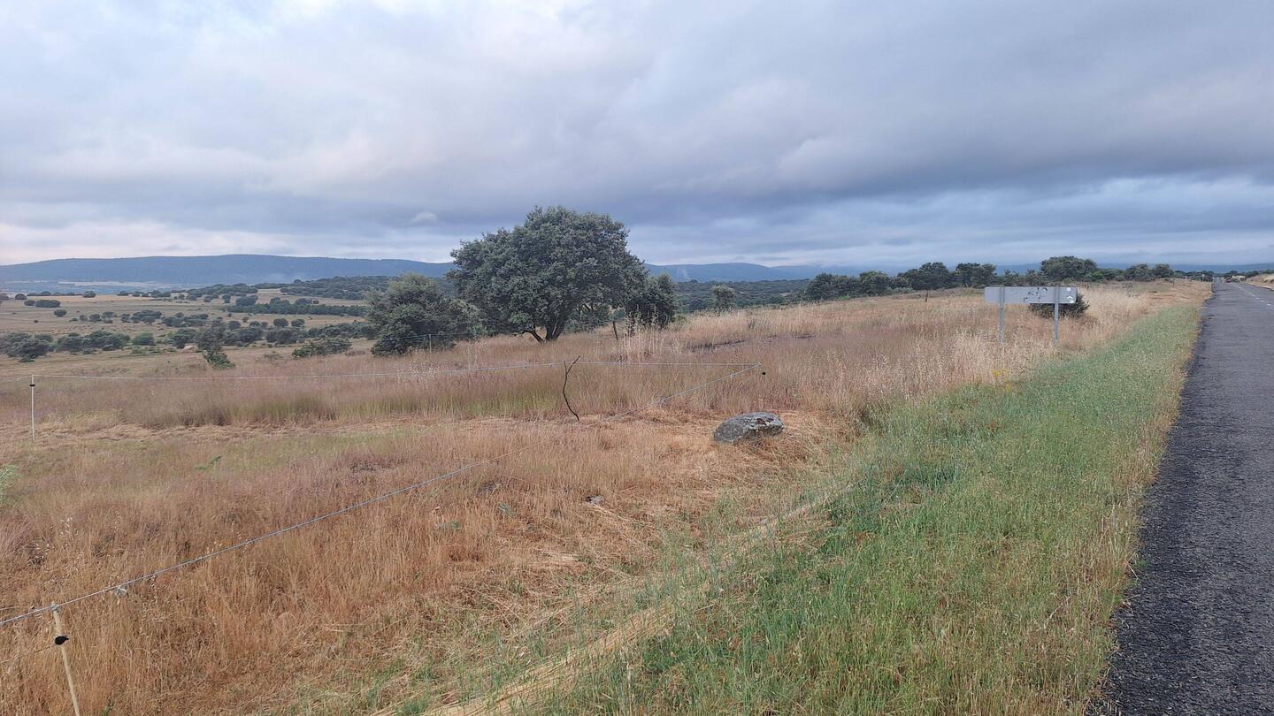 Today's scenery