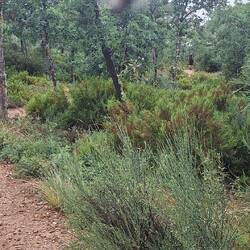 A beautiful part of the path today