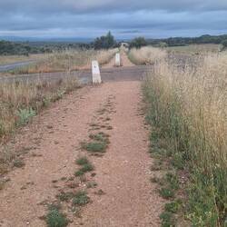 It was cloudy n cool for walking today...hooray!