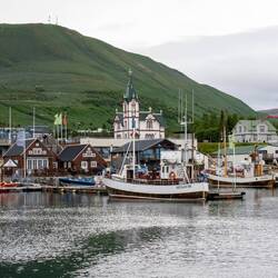 Husarvik