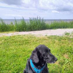 Das beste am Urlaub: Rast mit Blick auf die Ostsee❤️