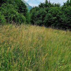 Wo geht's denn hier lang?