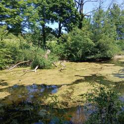 Ein Paradis
