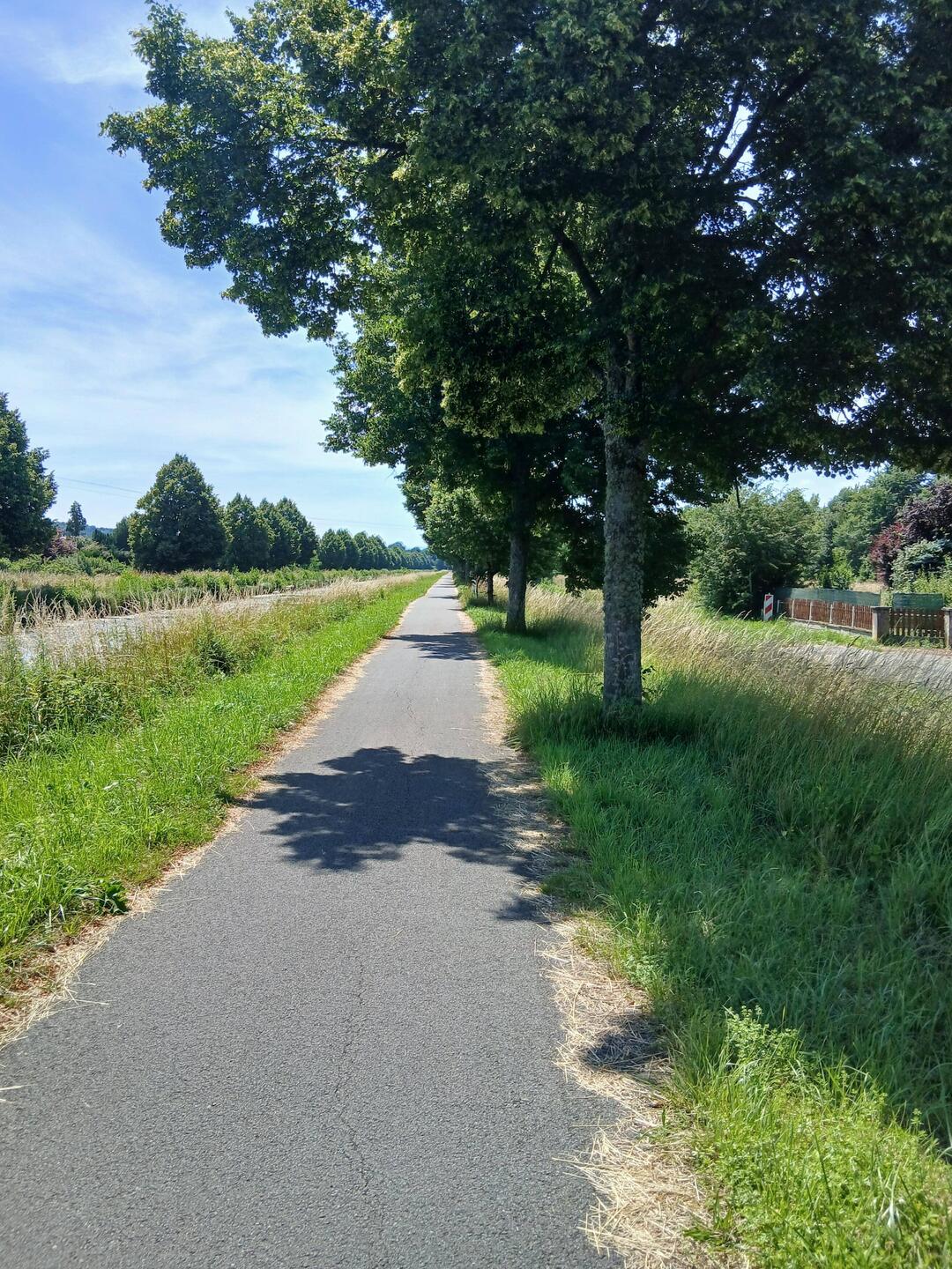 Ganz einfach geradeaus