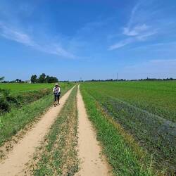 Af en toe is de hitte zo ondraaglijk dat we alleen wandelen